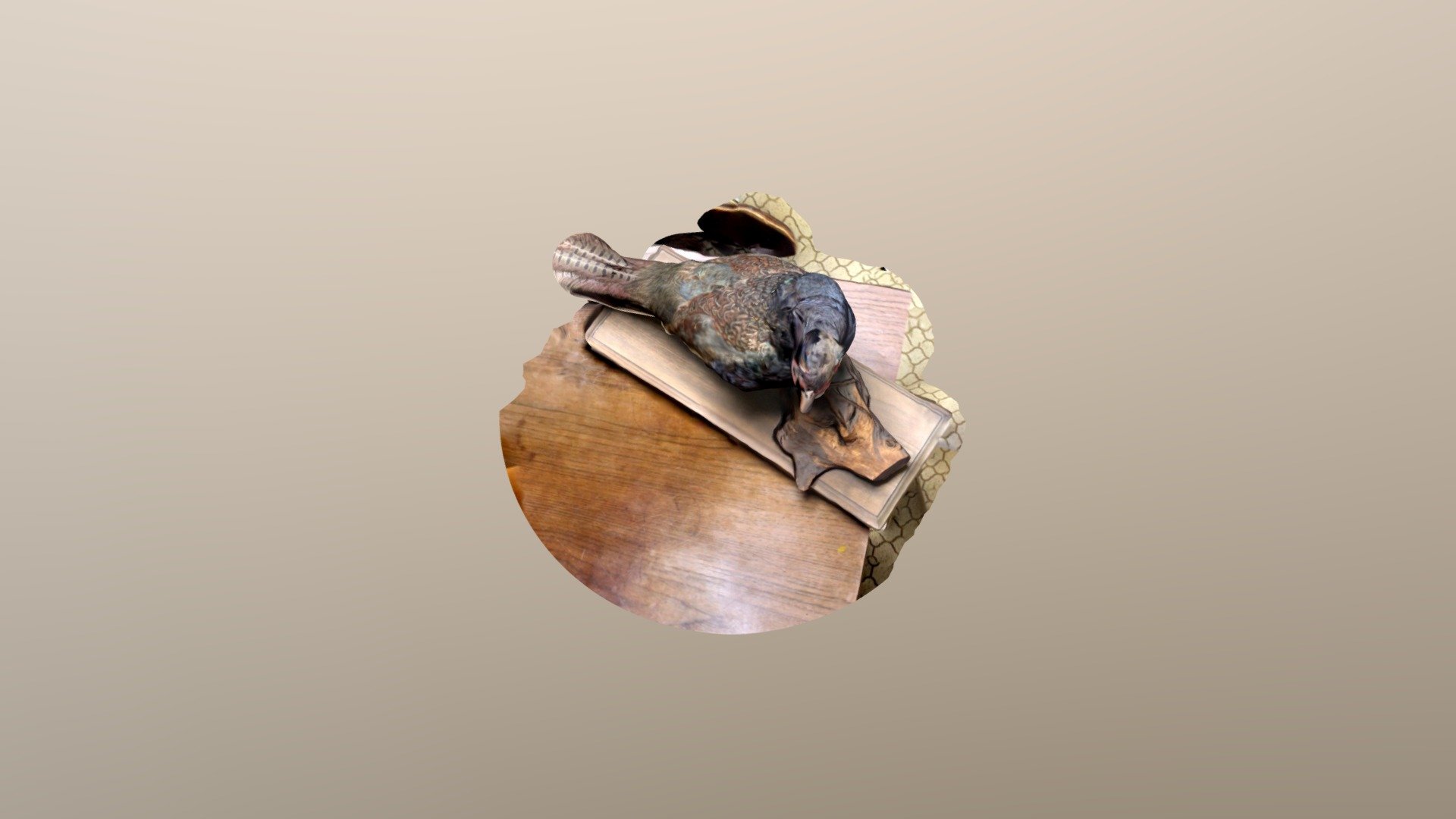 bird2
