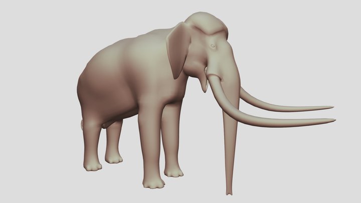 Palaeoloxodon antiquus 3D Model