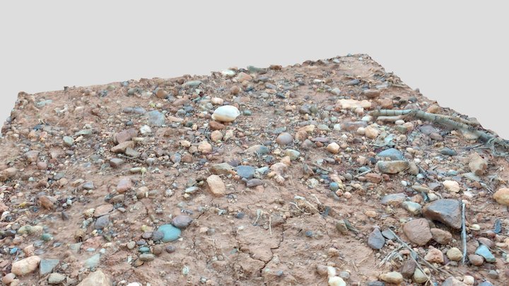 Small rocks ground patch 3D Model