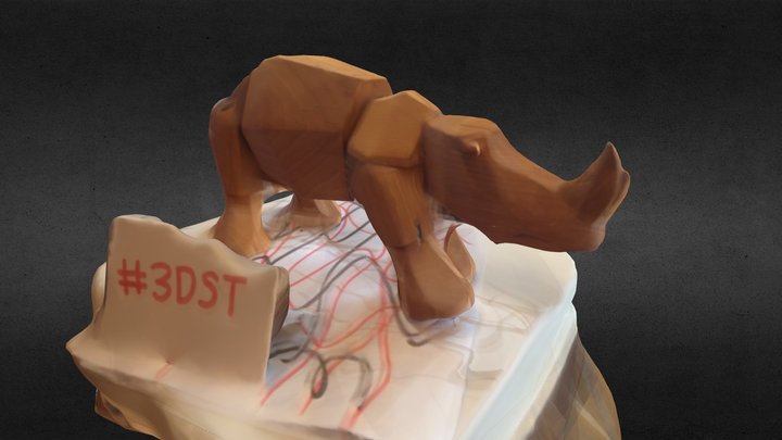 #3DST Rhino  3D Model