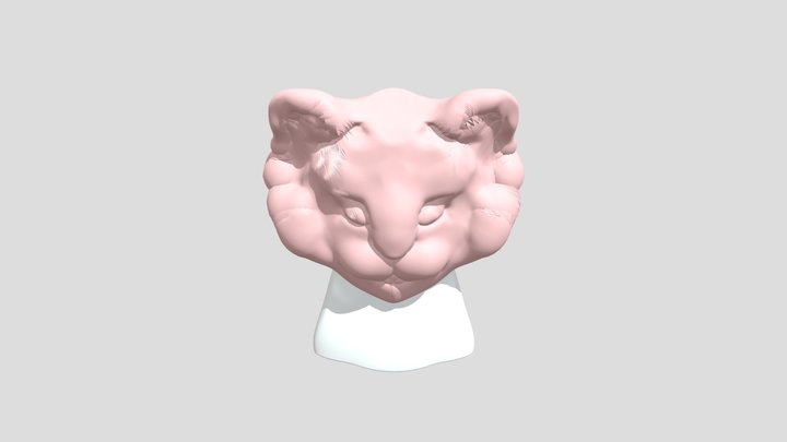 My model 3D Model