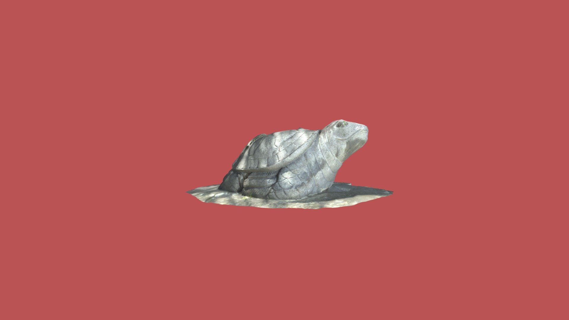 Turtle
