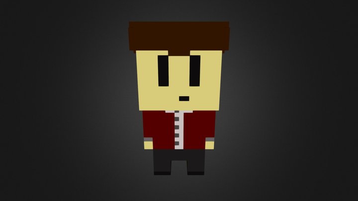 Pixel Crazydarkside 3D Model