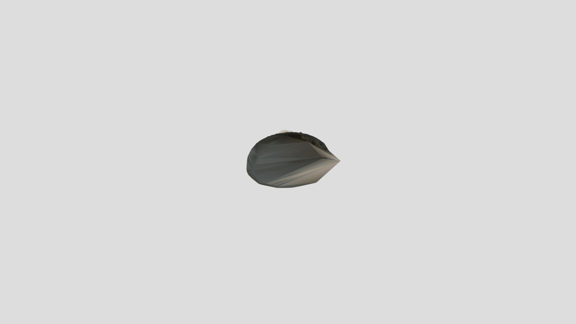 Vela