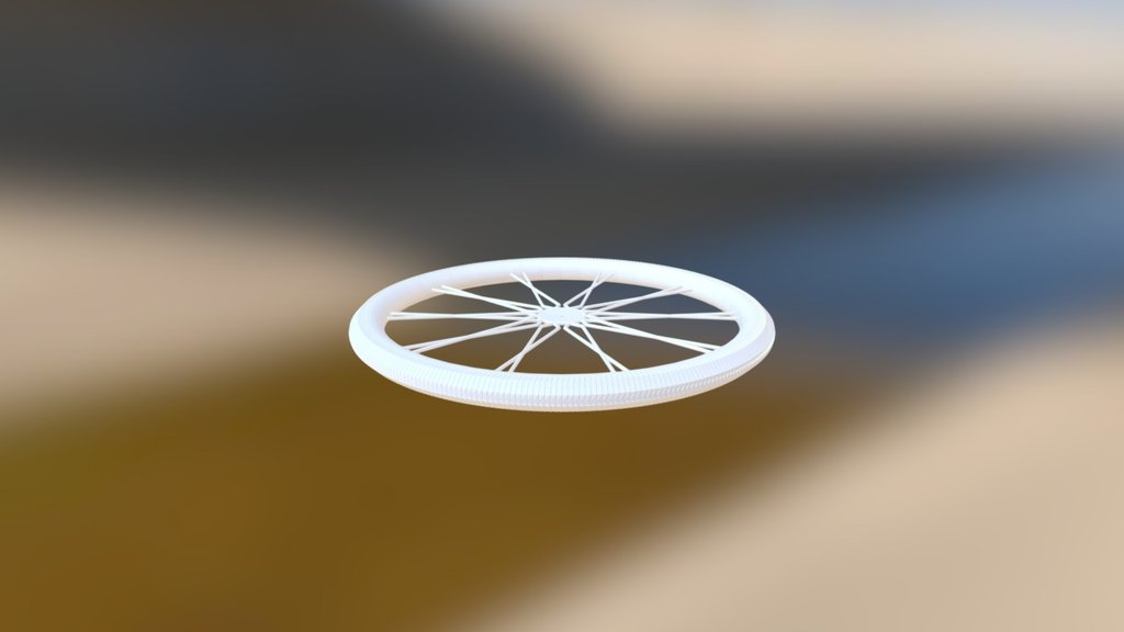 Wheel Exercise
