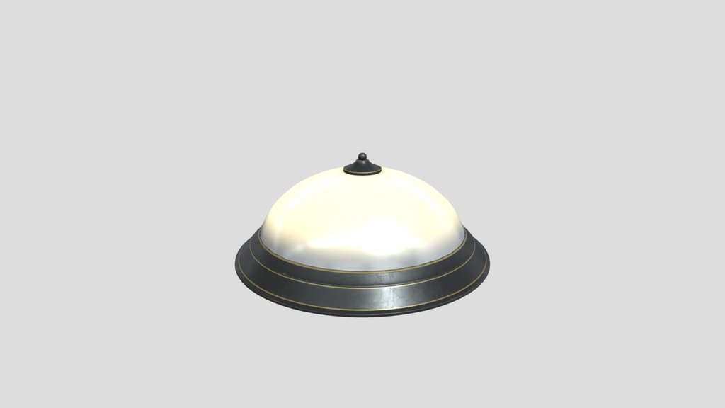 Universal Ceiling Lamp
