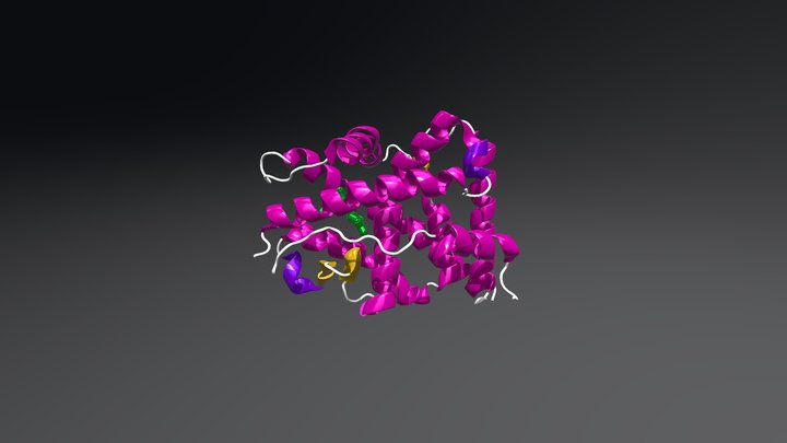 Progesterone receptor bound to levonorgestrel 3D Model
