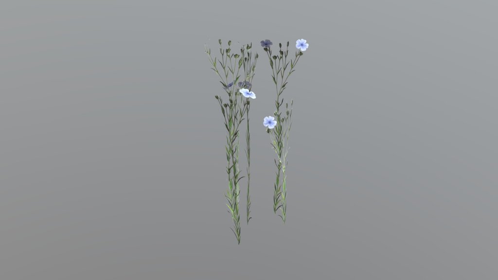 Linen with Flowers
