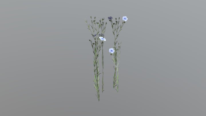 Linen with Flowers 3D Model