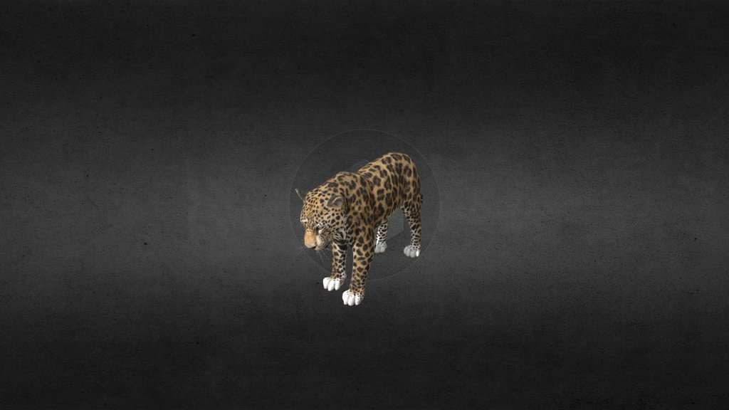jaguar