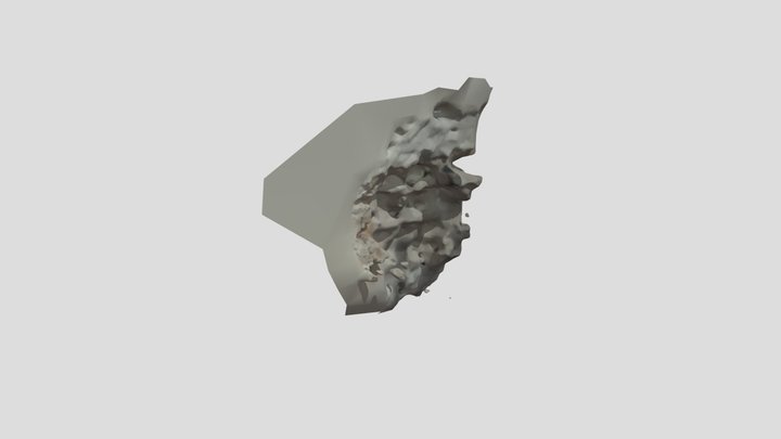 5 3D Model
