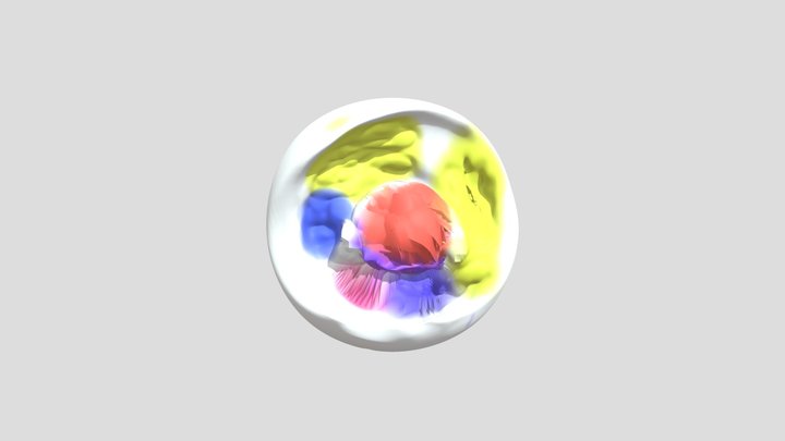 Cellutech Animale 3D Model