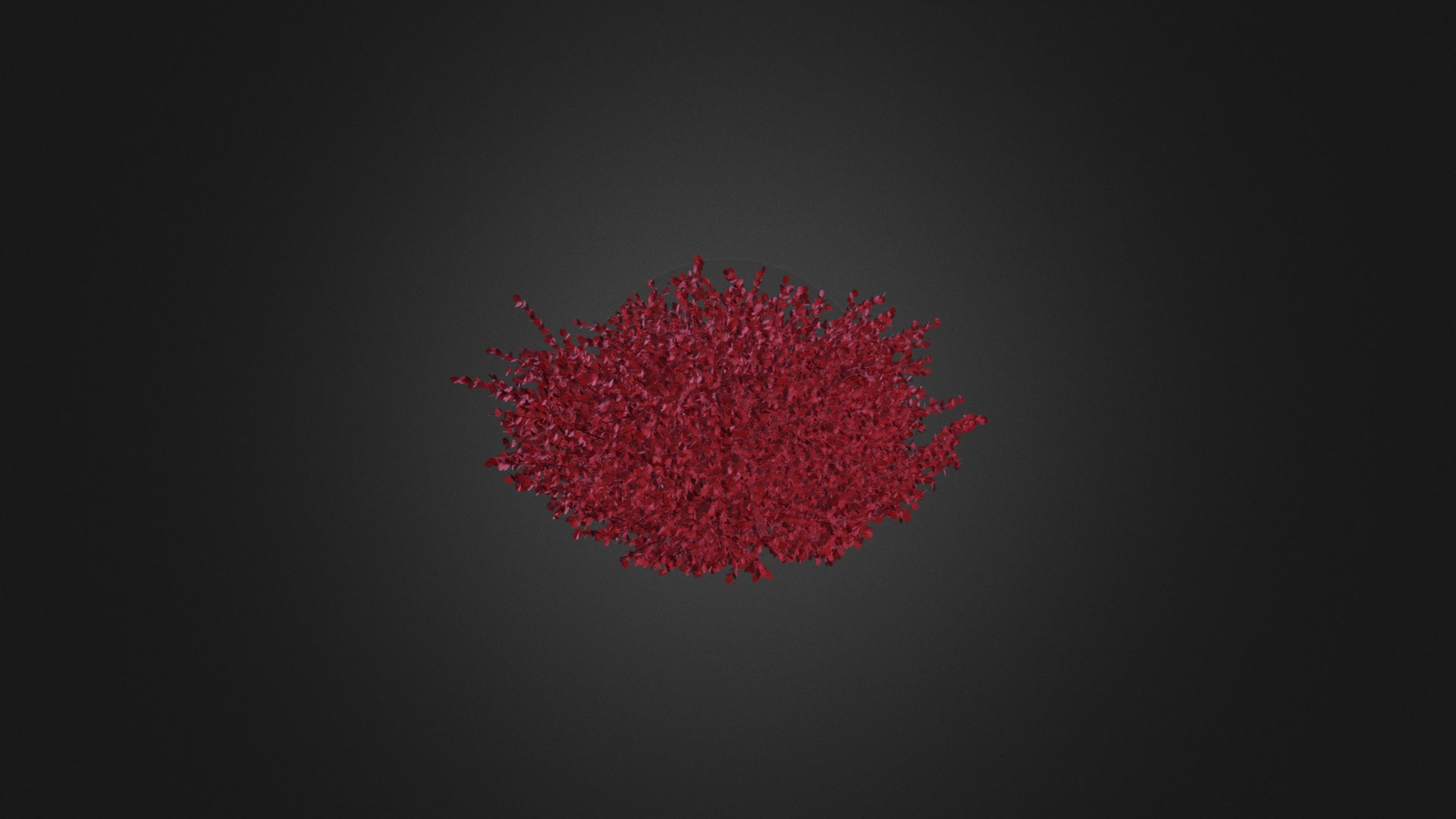 3D model Red Leaf Japanese Barberry - This is a 3D model of the Red Leaf Japanese Barberry. The 3D model is about a red circle with a black background.