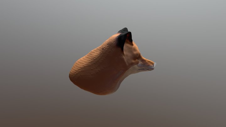 Fox 1.0 3D Model