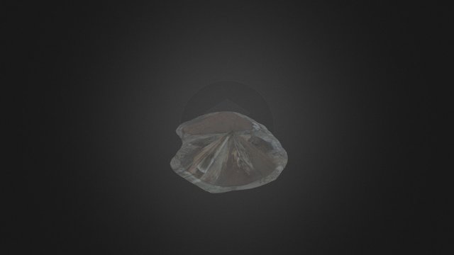 Bureau Verits - Croft piles 3D Model