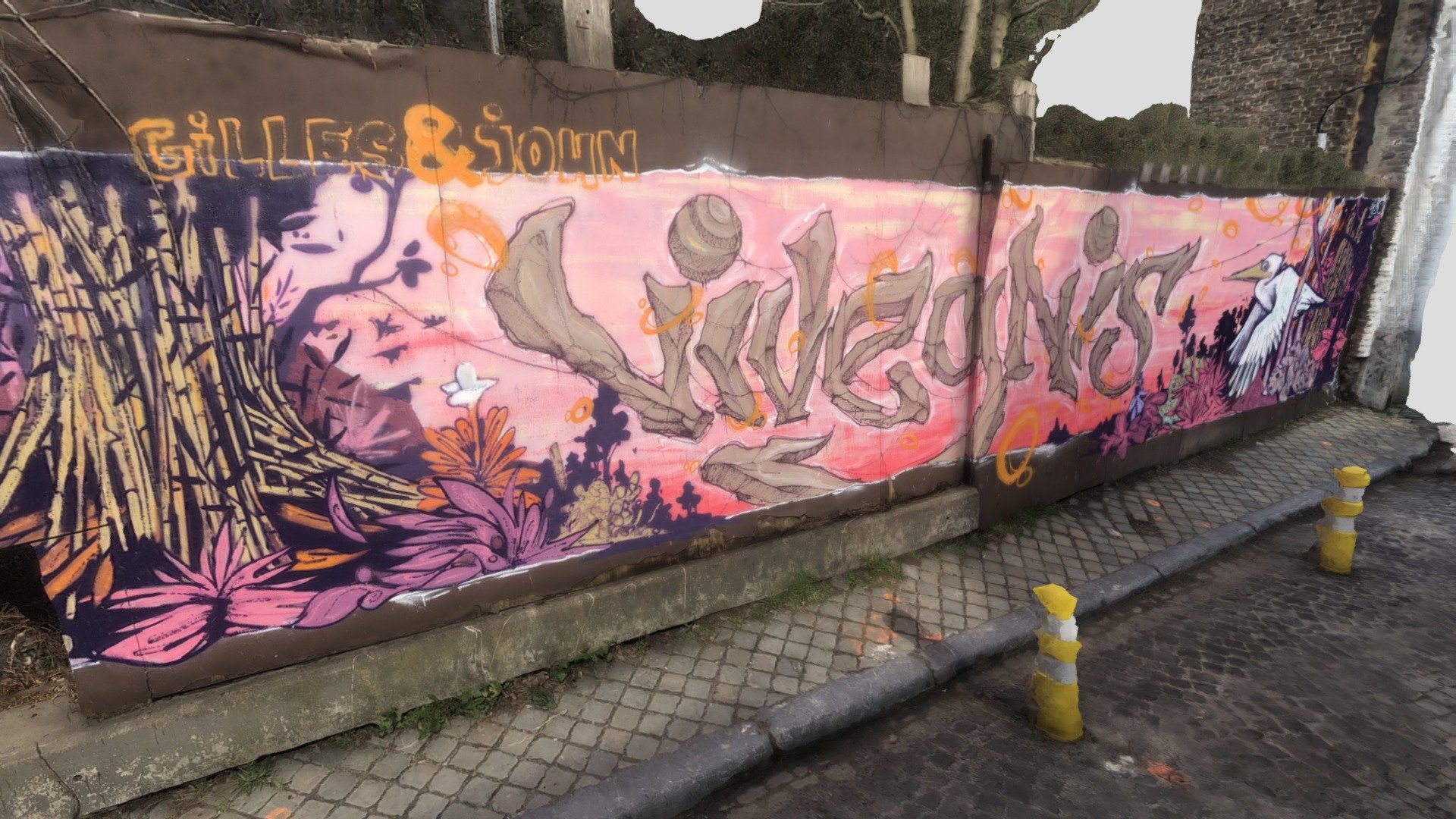 Graff rue Vivegnis - Liège