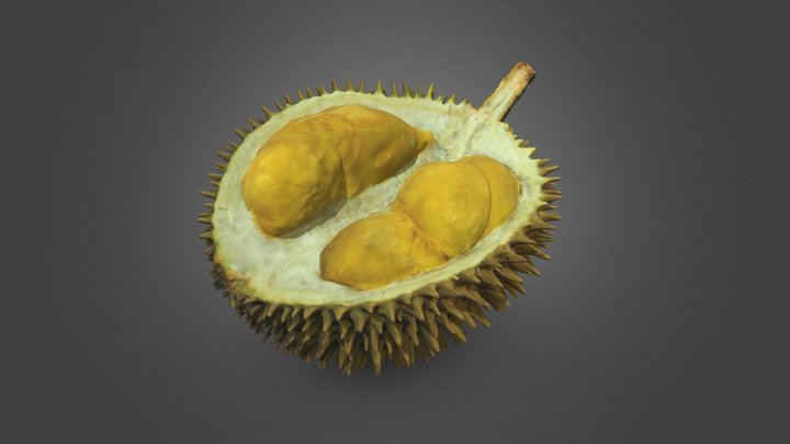Durian 3D Model