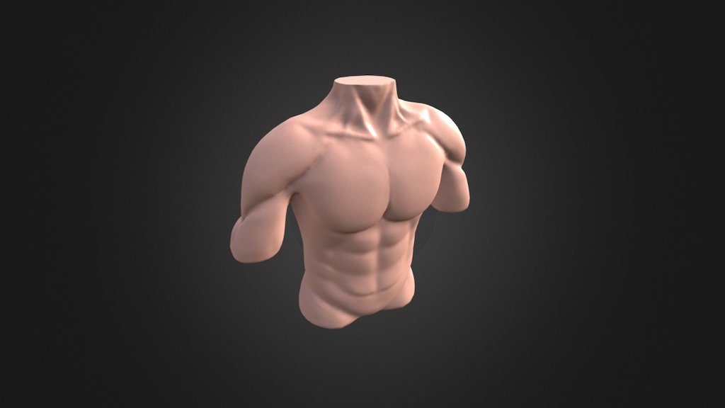 Male Torso - 3D Model By Kinakyu [91d269f] - Sketchfab