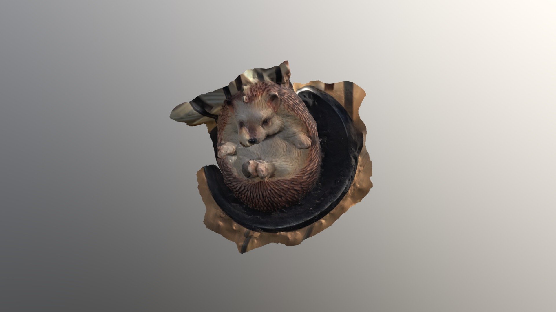 hedgehog1