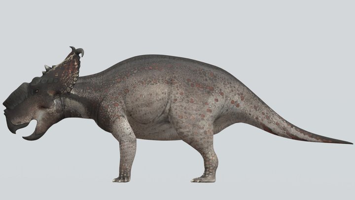 Accurate Pachyrhinosaurus lakustai – Free 3D Model STL
