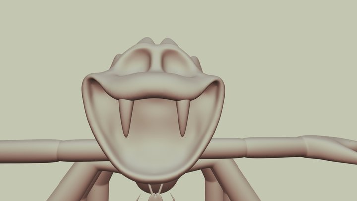Spinny Spiderweb 3D Model