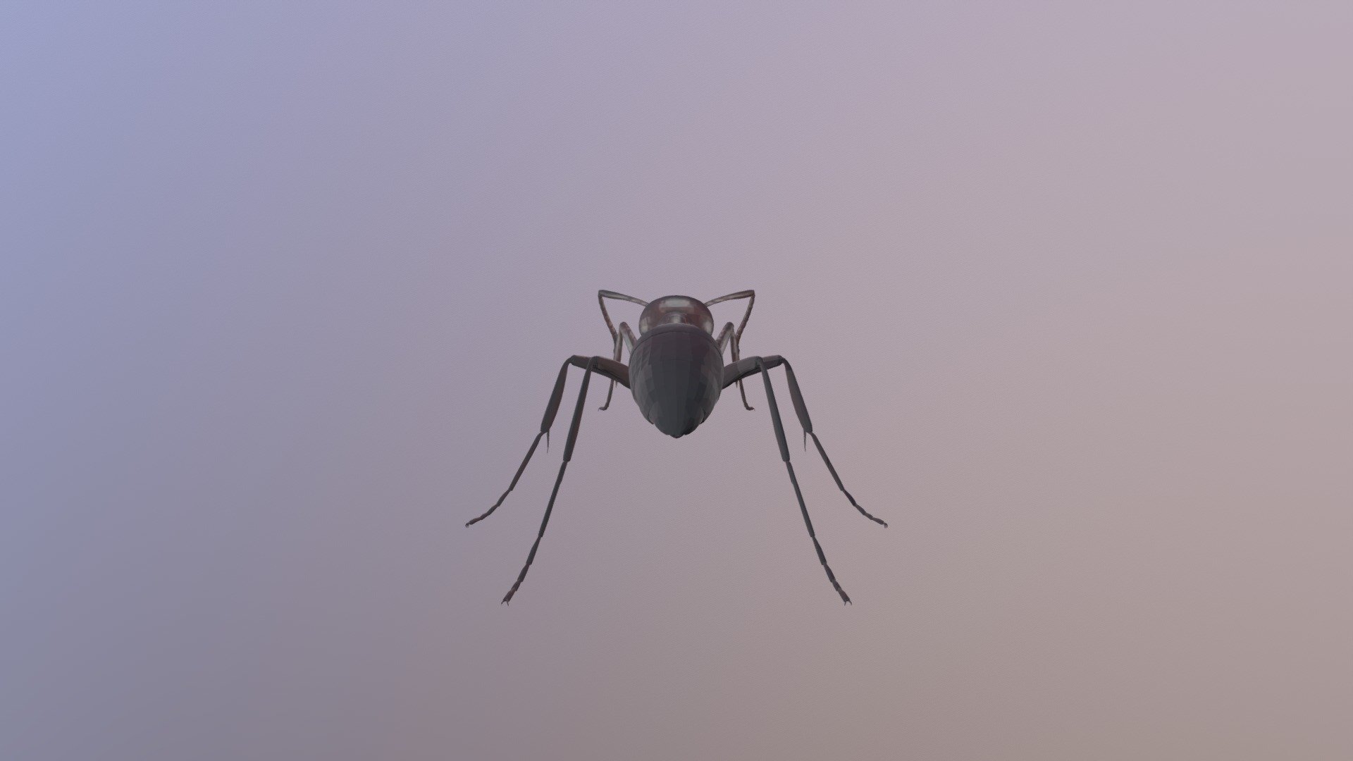 Linepithema humile