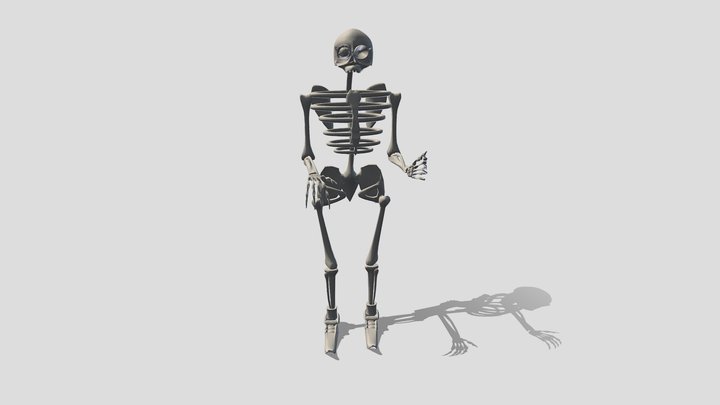 Esqueleto humano 3D Model