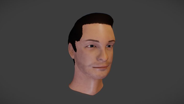 Head Bust 3D Model