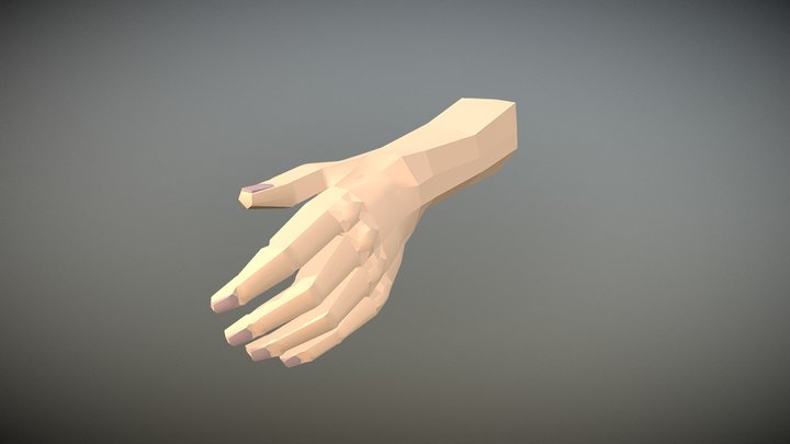 Cubic left forearm and hand 3D Model
