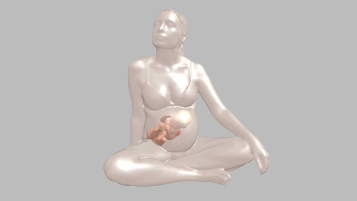 zwangerschap 3D Model