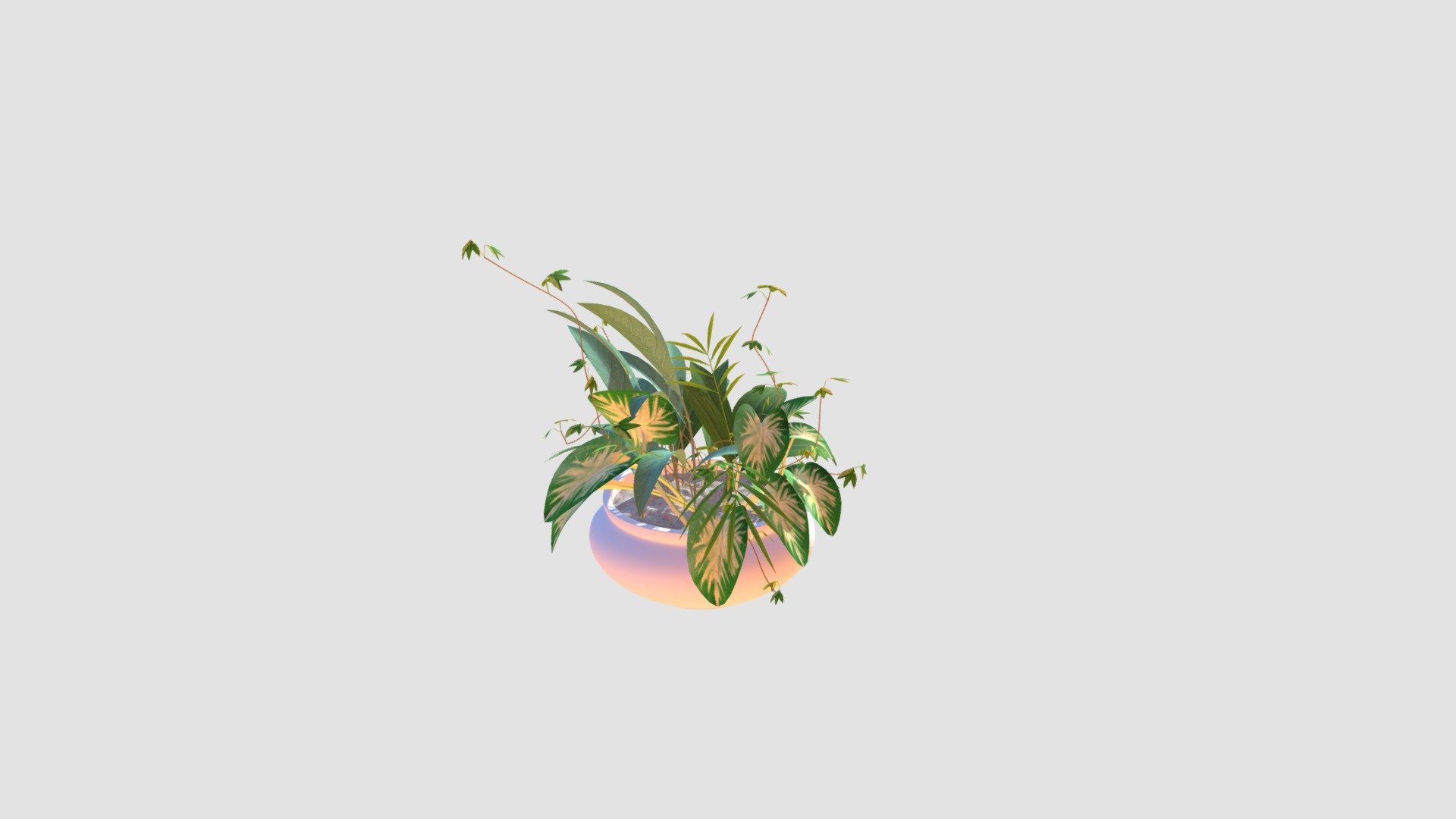 Plant   for CinemaD — Sketchfab embed 3D viewer