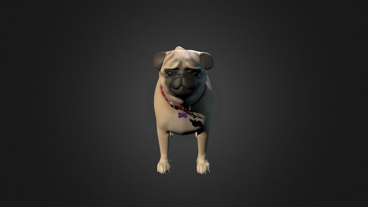 Spencer the Pug 3D Model