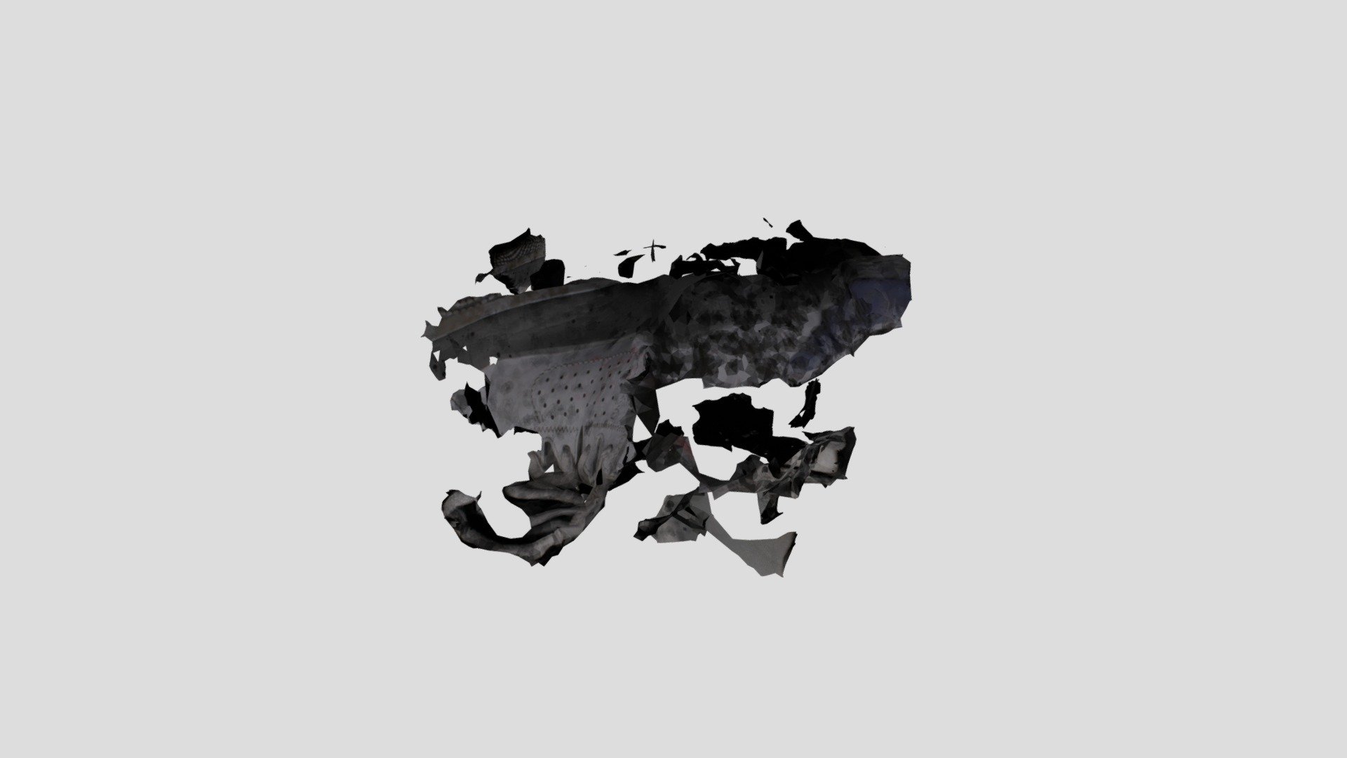 MESHROOM_SHOE_RAW