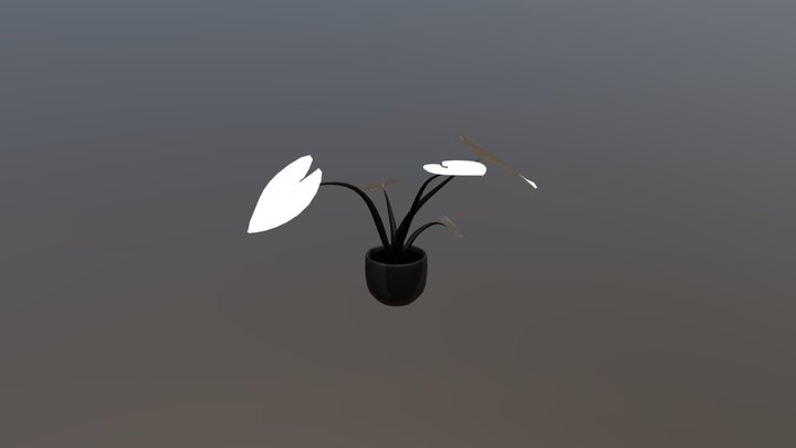 Elephant Ear Plant 3D Model