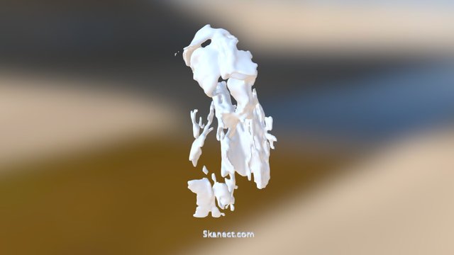 New Skanect Model 3D Model