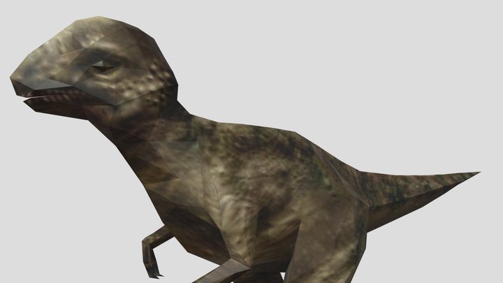 Carnivores Dinosaur Hunter Pachycephalosaurus – Free 3D Model STL
