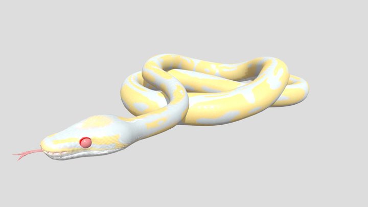 Snakes 3D models - Sketchfab