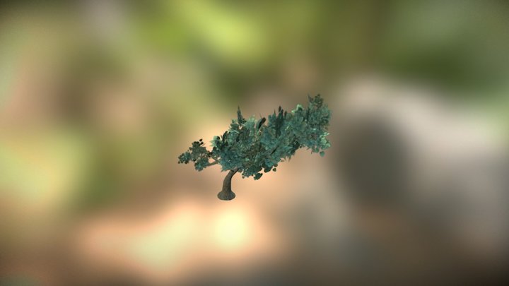 Ash Tree Special Curve 3D Model