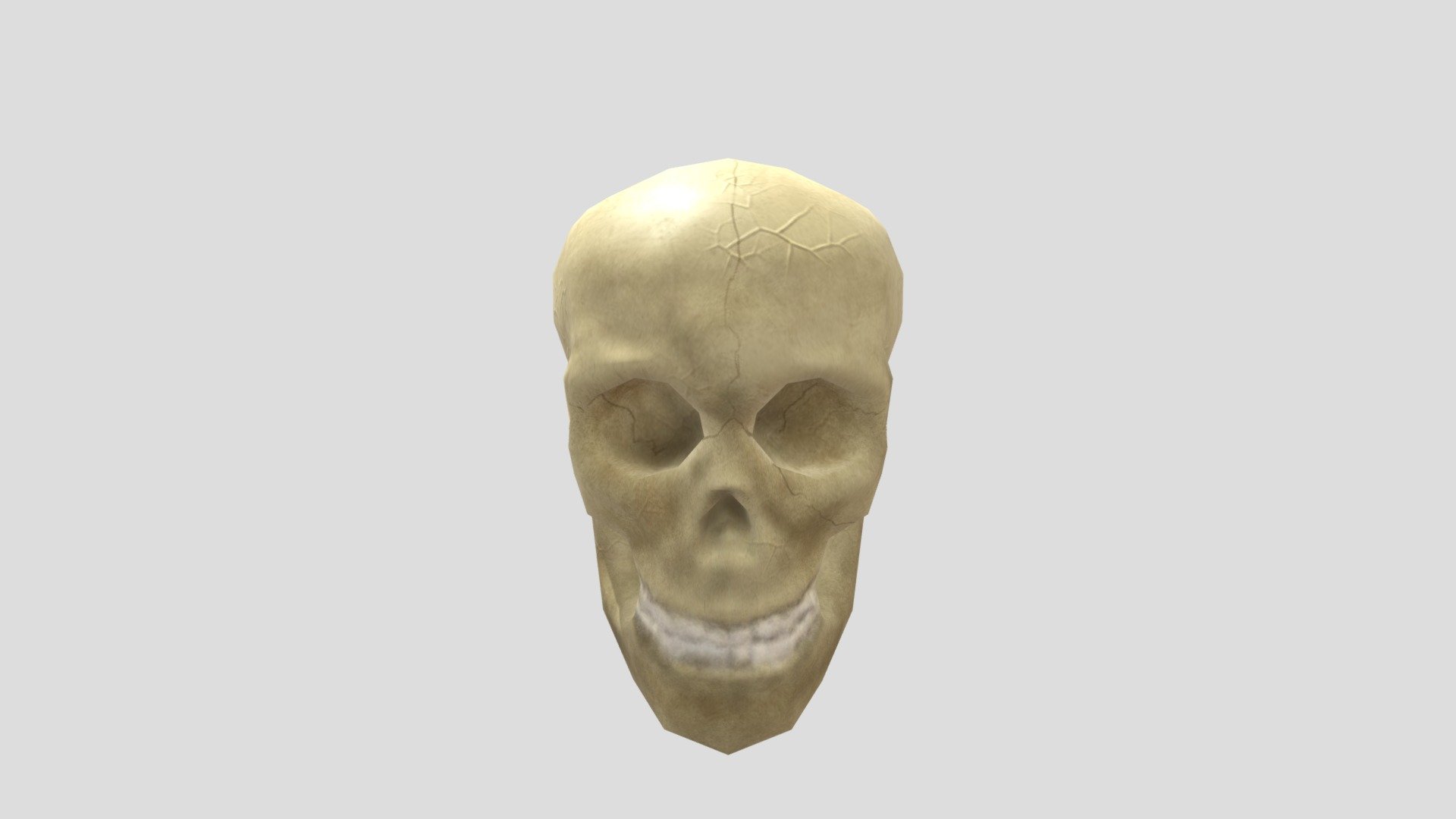 Skull Prop - EXPLORE 19 - 3D model by afontecc [91f92ab] - Sketchfab