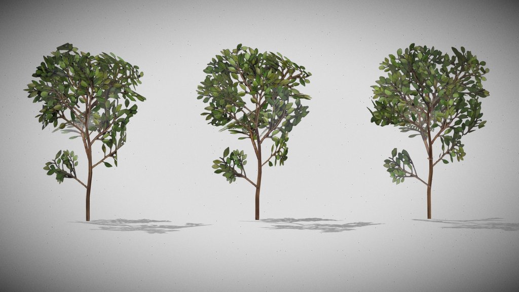 branch LOD