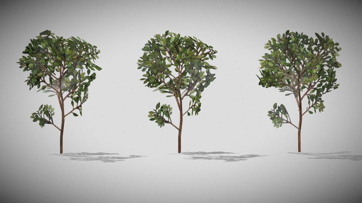 branch LOD 3D Model
