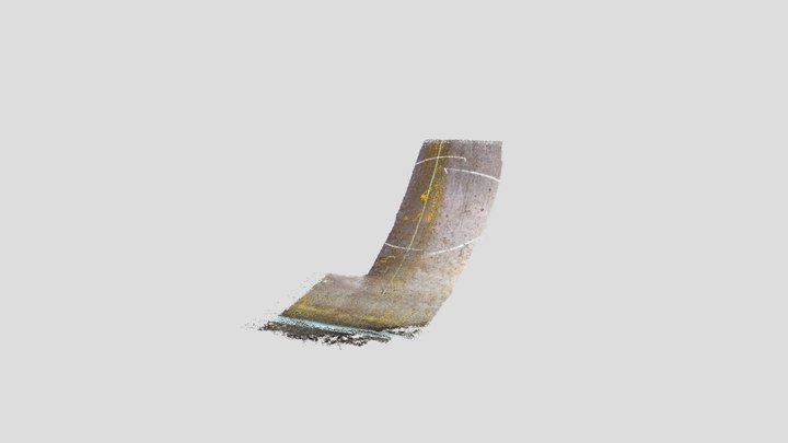 Scaniverse 2022-04-07 090056 3D Model