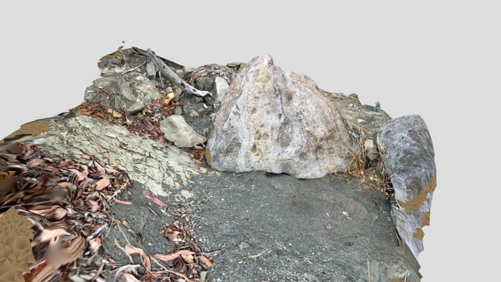 Oso Canyon (Franciscan Melange?) 3D Model
