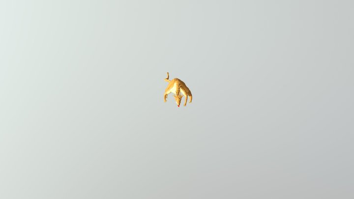Dragon Zbrush 3D Model