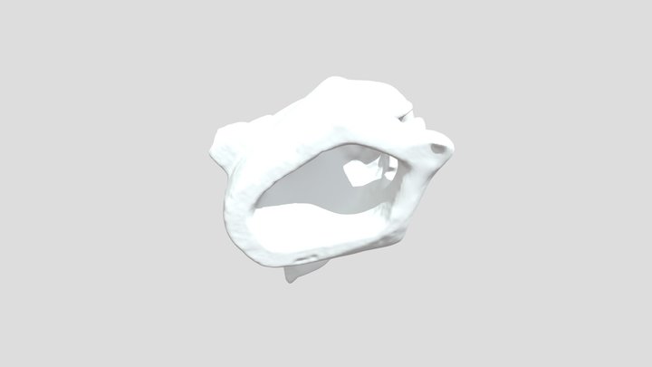 Jaguar Head Statue 3D Model