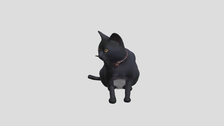 el caquito 3D Model