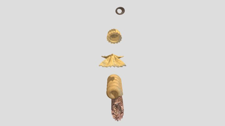 Barilla core 3D Model