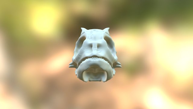 Horned Toad Skull 3D Model