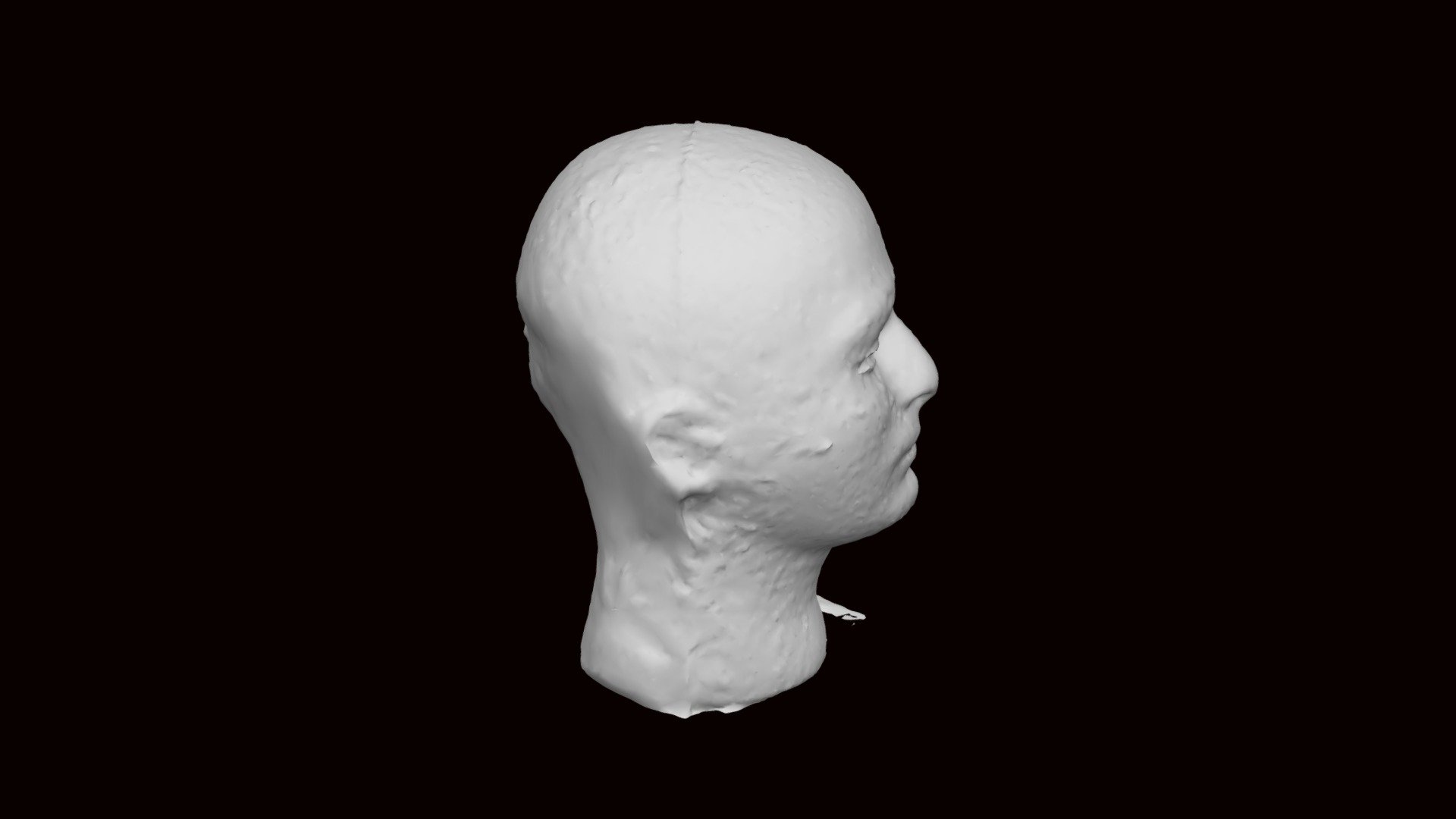 Styrofoam Head 3D model by frankebones [920ade0] Sketchfab