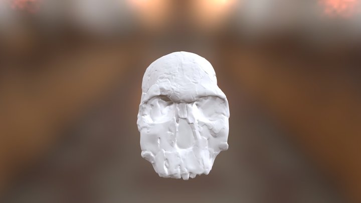 KNMER 1470 3D Model